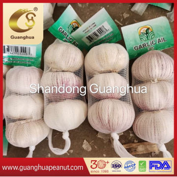 Wholesale Price Best Quality Fresh Garlic From China